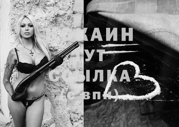 дурь Гусев