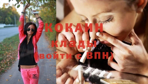 дурь Гусев