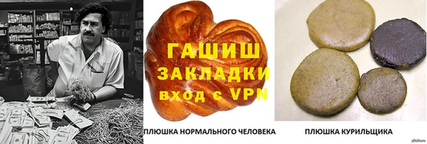 дурь Гусев