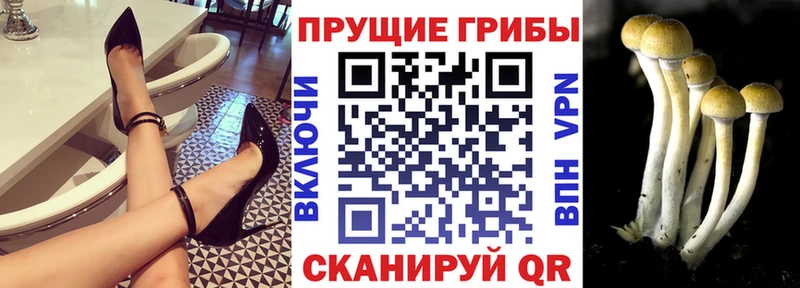 Псилоцибиновые грибы GOLDEN TEACHER Петушки
