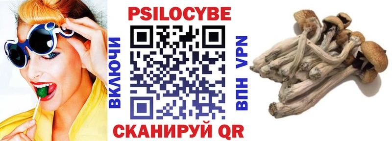 Псилоцибиновые грибы мицелий  Купить  Петушки 